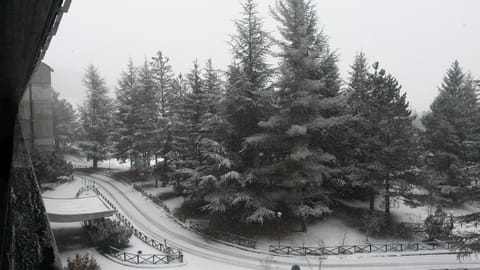 Winter, View (from property/room)