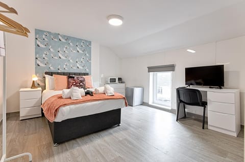 Private En-Suite - TV - Fridge - Microwave Apartment in Wales