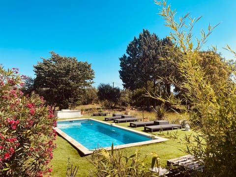 Garden, Pool view, Swimming pool