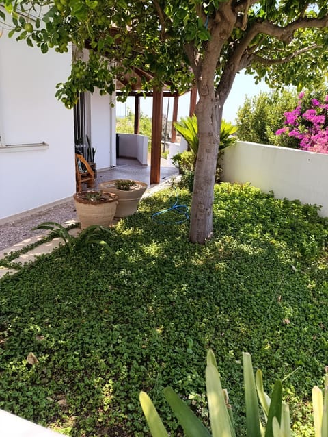 Green Garden House House in Crete