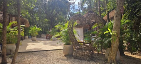 Patio, Garden, Garden view