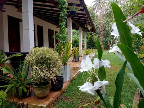 Day, Garden, Garden view