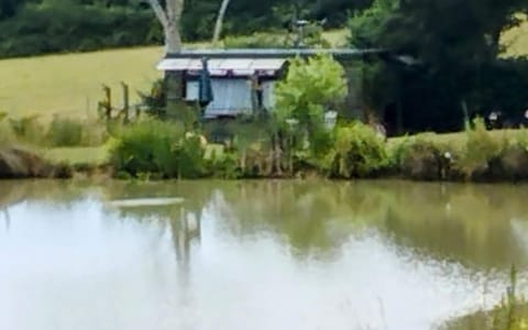 Lake view