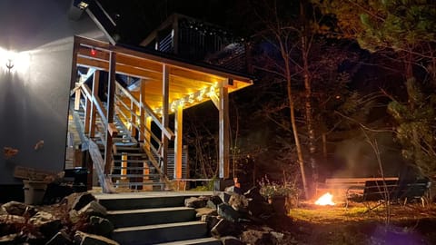 Property building, Night, Garden view