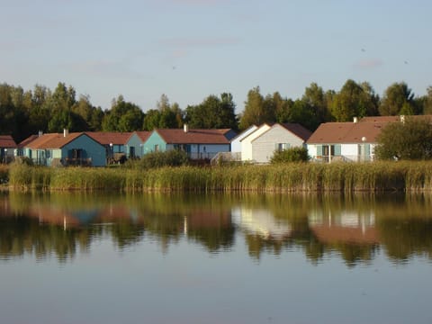 Natural landscape, Lake view