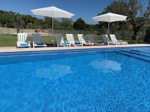 Summer, Swimming pool, sunbed