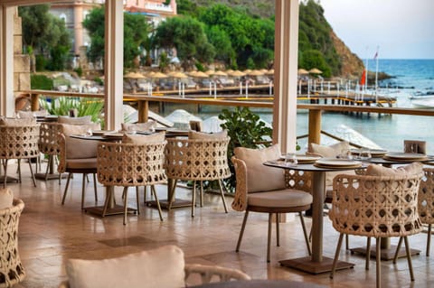Lounge or bar