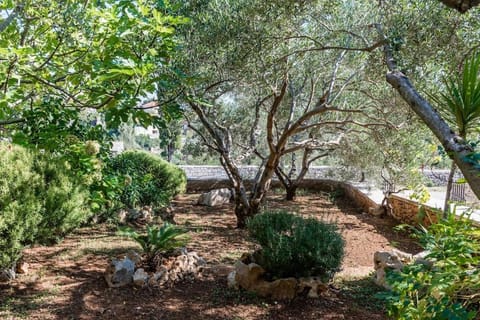 Villa Venus House in Selca, Brač