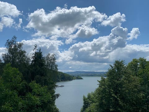 Lake view