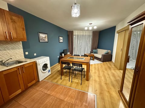 Living room, Dining area, washing machine