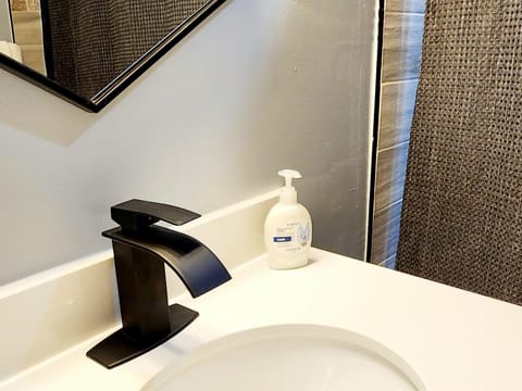 Modern Two Bedroom Home Apartment in Lakeland