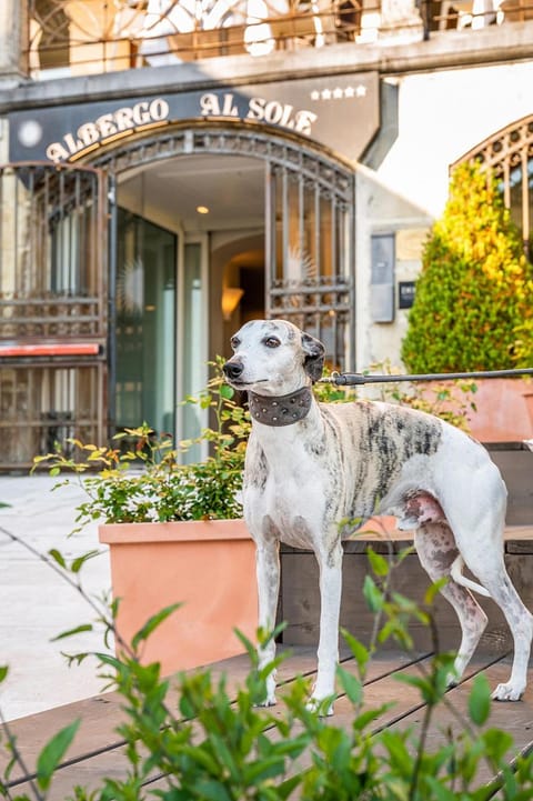 Facade/entrance, Animals