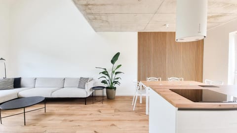 Kitchen or kitchenette, Living room