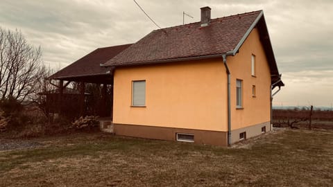 KUĆA ZA ODMOR BRZICA ERDUT House in Vojvodina