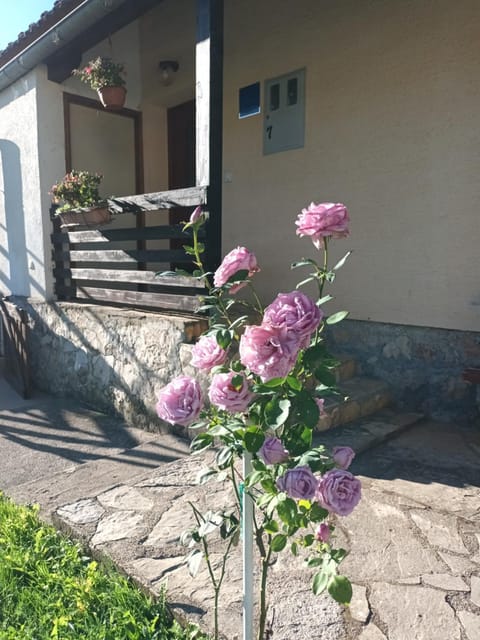 Guesthouse Loncar Bed and Breakfast in Plitvice Lakes Park