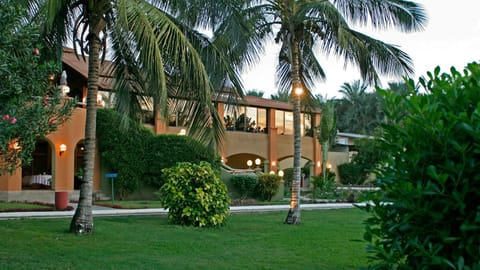 Property building, Natural landscape, Garden