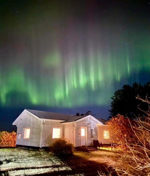 Property building, Facade/entrance, Night, Natural landscape