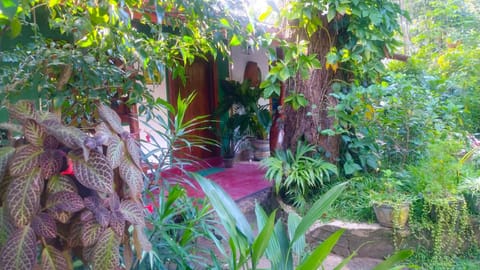 Day, Natural landscape, Garden view