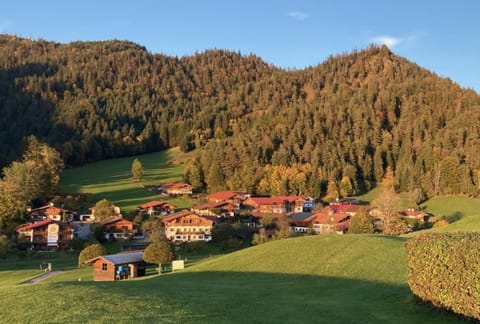 Haus Gneuss Apartment in Salzburgerland