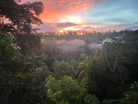 D'tepi Ubud House Villa in Tampaksiring