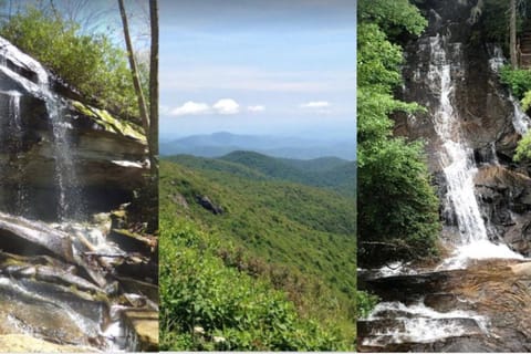 The Lime House House in Brevard