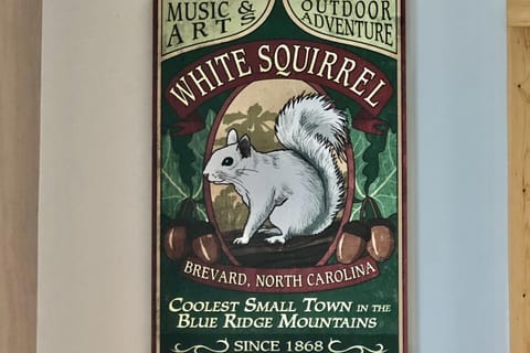 The Lime House House in Brevard