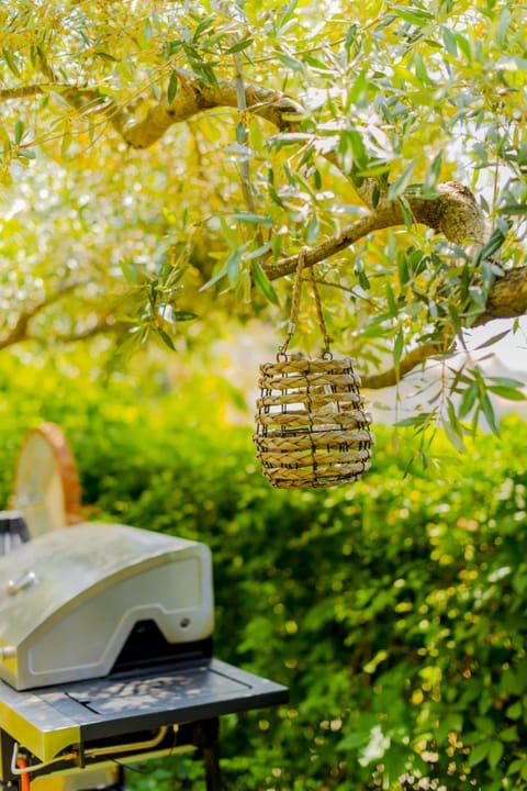 Nature Lovers-Golden Beach Apartment in Thasos