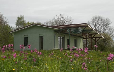 Property building, Day, Garden, Garden view