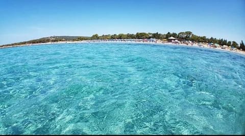 Villa panoramica immersa nel verde Apartment in Sardinia