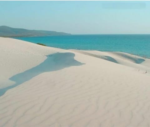 Villa panoramica immersa nel verde Apartment in Sardinia