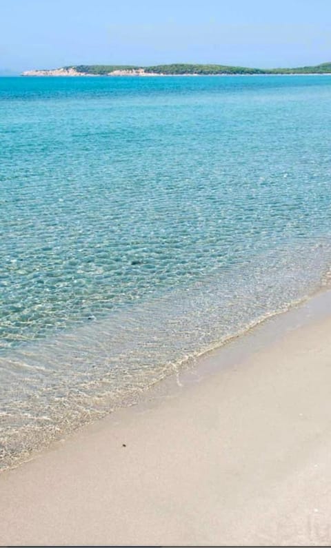 Villa panoramica immersa nel verde Apartment in Sardinia