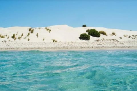 Villa panoramica immersa nel verde Apartment in Sardinia