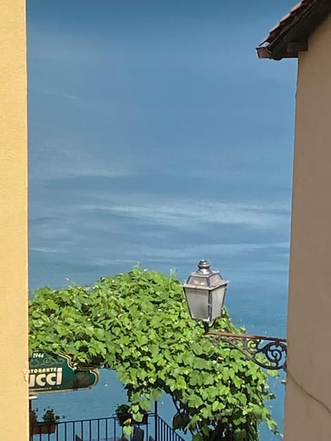 Lake view