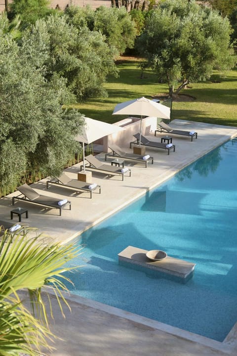 Pool view, Swimming pool