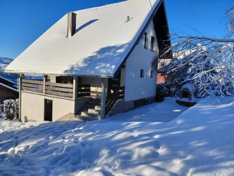 Zlatibor Tornik View House in Zlatibor