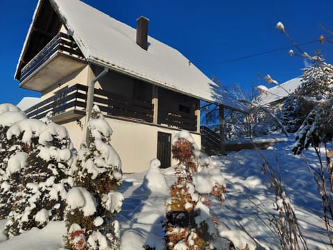 Zlatibor Tornik View House in Zlatibor