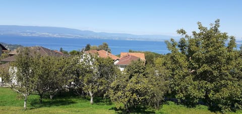 Lake view, Lake view