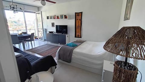 Tuo Pallino Apartment in Sanremo