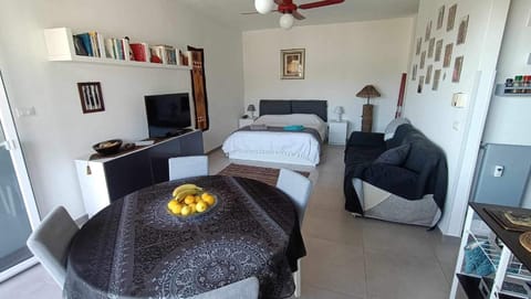 Tuo Pallino Apartment in Sanremo