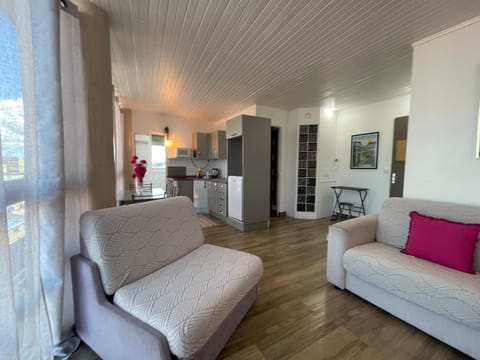 PENTHOUSE 10 MIN port croisière et aéroport Apartment in Les Abymes