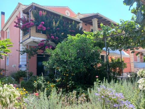 Property building, Garden view
