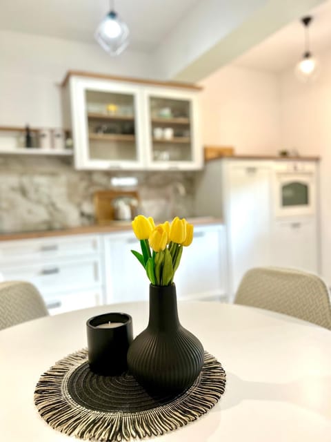 House of Velebit Adria Apartment in Lika-Senj County