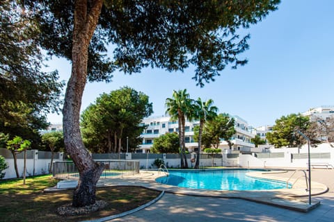 Day, Pool view, Swimming pool, sunbed