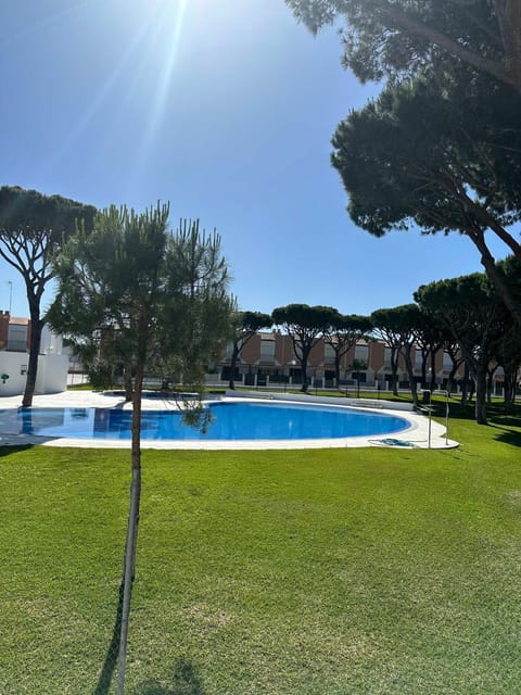Garden, Swimming pool