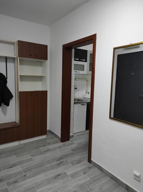 Fortuna Apartment in Vojvodina