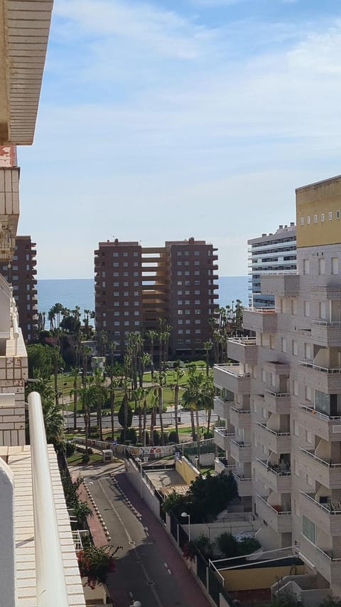 Property view