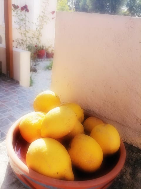 Lemon Tree House House in Kalyves Beach