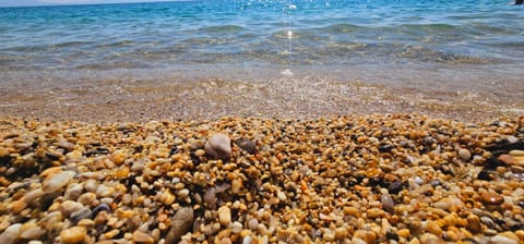 Alkion Boutique Living Apartment hotel in Decentralized Administration of Macedonia and Thrace