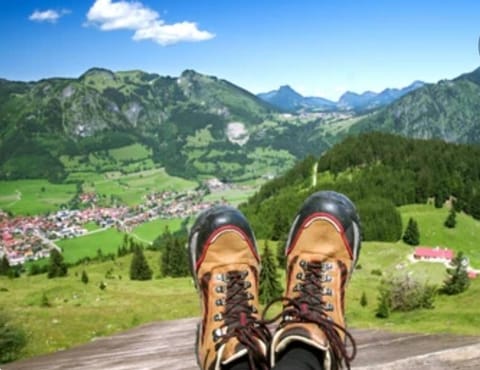 Ferienwohnung Weber Alpenveilchen Apartment in Tyrol