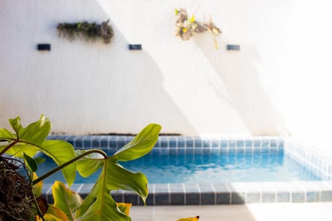 Day, Pool view, Swimming pool, Swimming pool